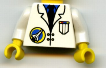 Lego Minifigure Torso mounted (973px24c01)